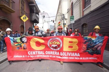 Cob 7