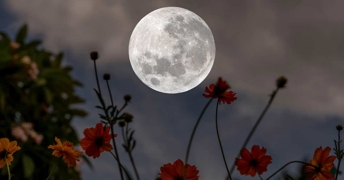 Moon Onedaybefore 1 7c791e0a 260527105218 1200x630