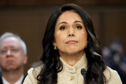 Tulsi Gabbard Senate Intelligence Committee Hearing