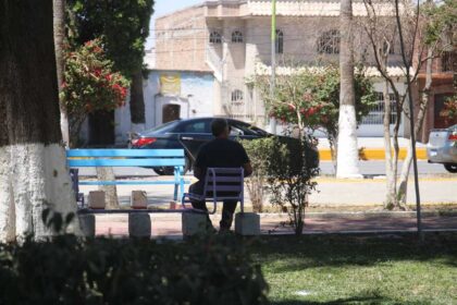 Decimos Pronostico Torreon Saltillo Coahuila