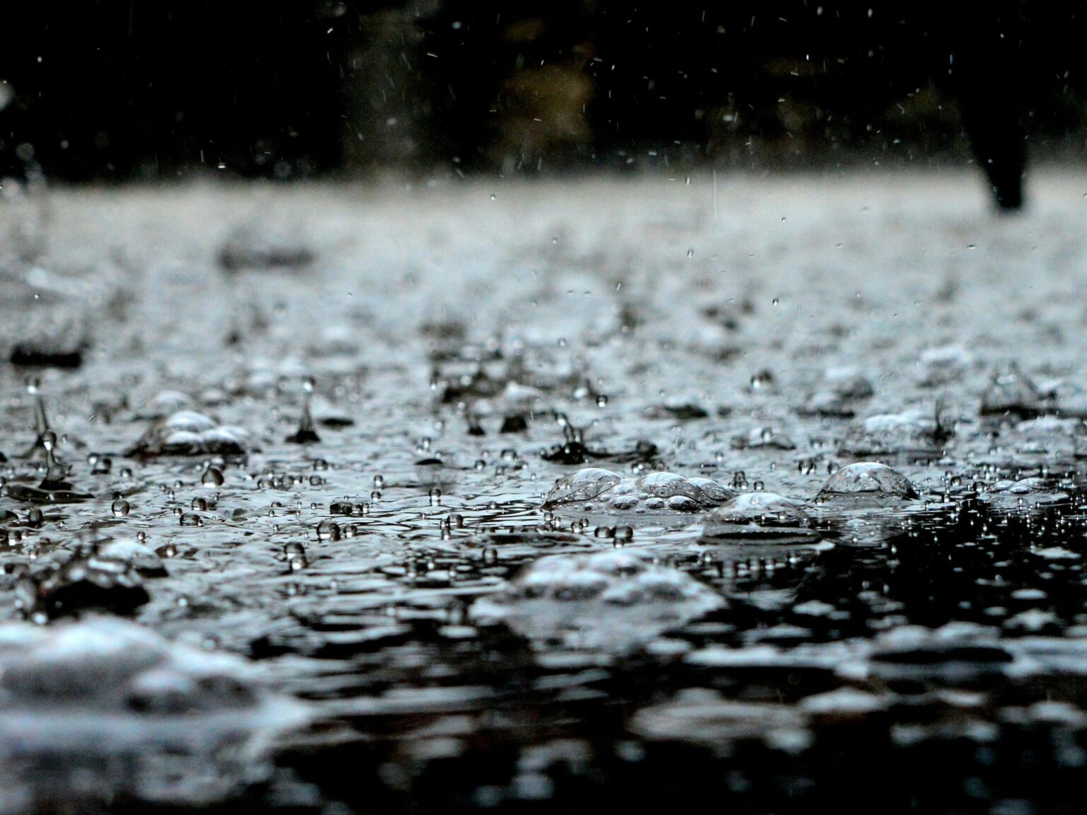Clima en Asuncion pronostico para este 11 de agosto de 2026