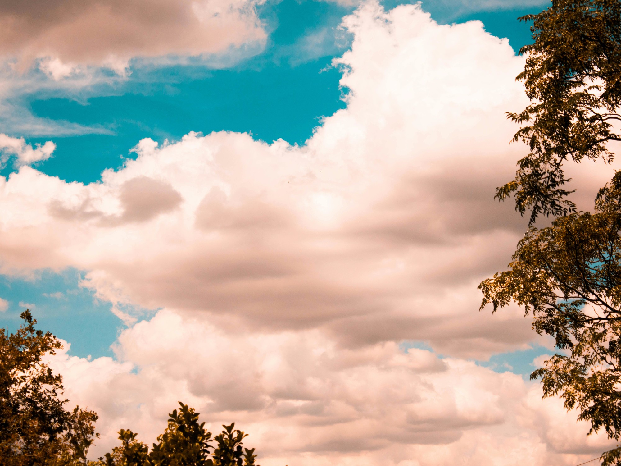 Clima en Merlo San Luis este 18 de septiembre de 2026